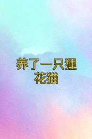 养了一只狸花猫
